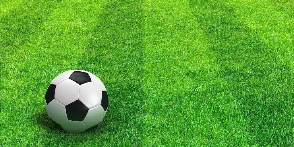 体育从业者使用今日球赛直播时间表